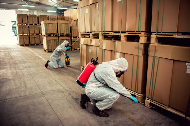 Best Mosquito Control Services  in Gila Bend, AZ
