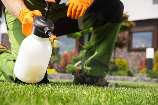 Best Termite Control Services  in Gila Bend, AZ