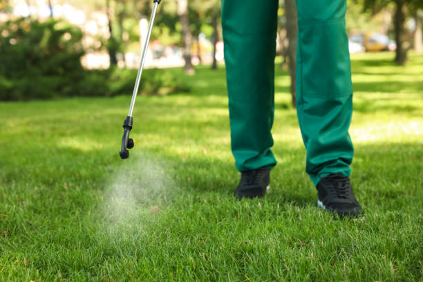 Best Pest Inspection Near Me  in Gila Bend, AZ