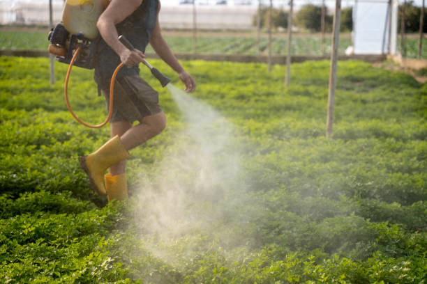 Best Exterminator Services  in Gila Bend, AZ