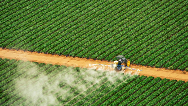 Best Commercial Pest Control Services  in Gila Bend, AZ