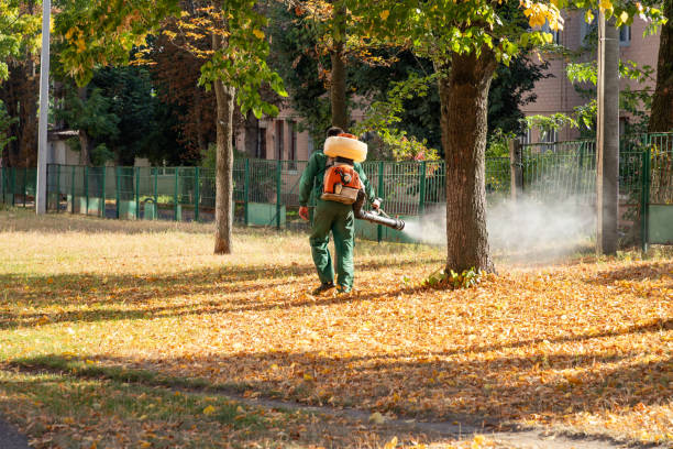 Best Wasp Removal Services  in Gila Bend, AZ